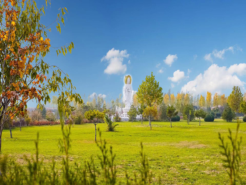 思亲园公墓地址怎么找（公共墓地能土葬吗）
